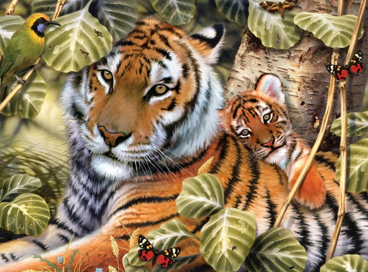 Tygr a mládě