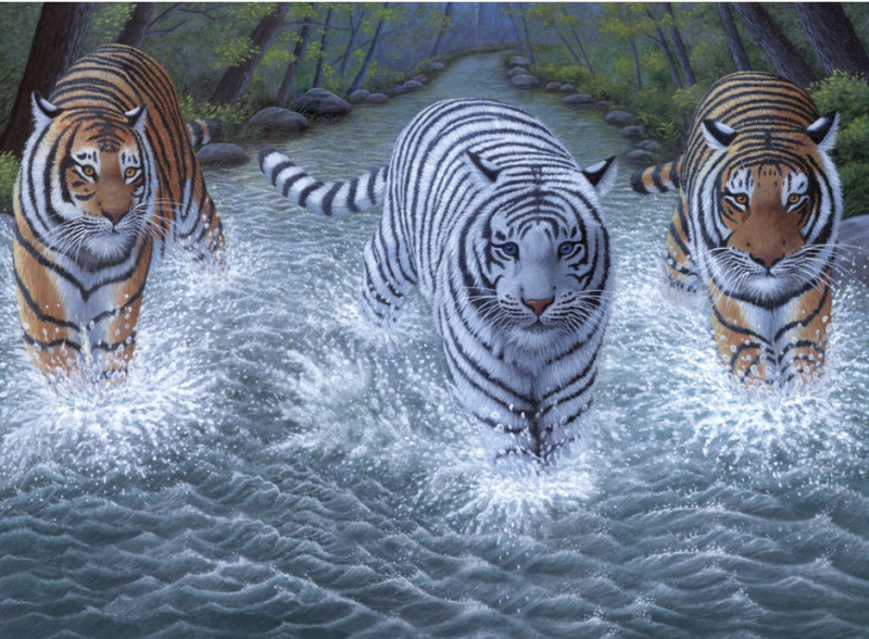 Tři tygři