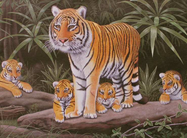 Tygřice a mláďata