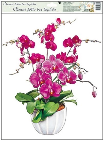 Orchideje 38x30cm