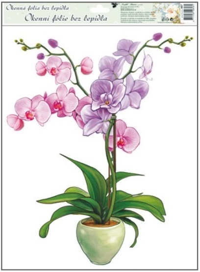 Orchideje 38x30cm