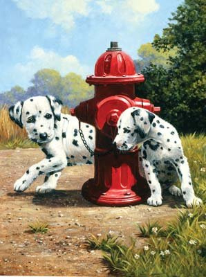 Dalmatini u červeného hydrantu