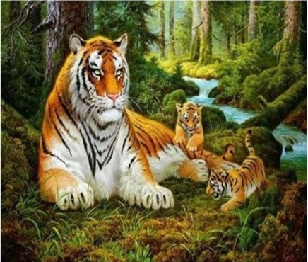 Tygr s mláďaty