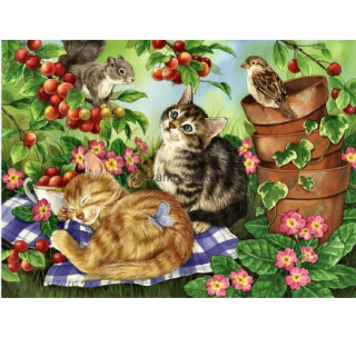 Diamantový obrázek -Kočky na dece 30x40cm