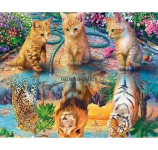 Diamantový obrázek -Kočky a jejich odrazy 30x40cm