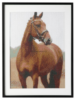 Diamantový obrázek - kůň 30 x 40 cm