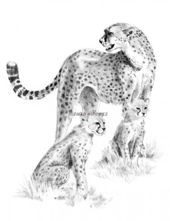 Gepardí rodinka